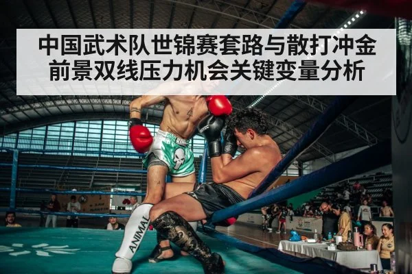 sanda kickboxing fight