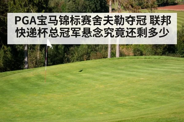 PGA宝马锦标赛舍夫勒夺冠 联邦快递杯总冠军悬念究竟还剩多少
